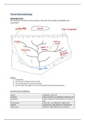 Geography (Fluvial Geomorphology) Notes - IEB