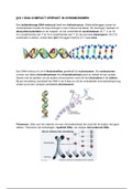 H19 DNA Biologie Nectar 6vwo 3e editie Samenvatting