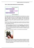 Tema 4 Genética molecular y de la conservación (Ciencias Ambientales)