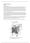Basiskennis elektrocardiografie 