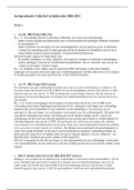 Samenvatting jurisprudentie Collectief Arbeidsrecht 2020-2021