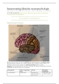 Samenvatting Klinische Neuropsychologie   anatomie hersenen