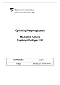 Werkboek Psychopathologie jaar 1, blok 2. 
