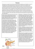 Pancreas and Liver - Physiology 