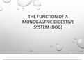 Mono-gastric Digestive System - Nutrition 