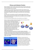 Fibrous and Globular Proteins - Biochemistry  