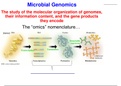 Microbial Genomics The study of the molecular organization of genomes, their information content, and the gene products they encode