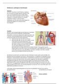 Weblecture cardiologie en fysiotherapie
