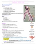 NUR 4045 Oncology 1 Study guide Complete