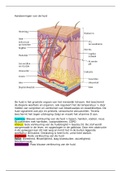 Samenvatting van o.a. de huid en het bewegingsstelsel mbo-verpleegkunde