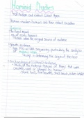 Evolution notes (hominid studies)- Life Sciences (Biology)  