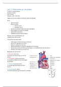 Samenvatting IBS 3 Circulatie en Respiratie Leerjaar 3