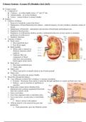 Urinary System - Lesson 25 (Modules 24.1-24.5)