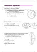 Bundel samenvattingen Oculaire anatomie (Jaar 1 blok A)