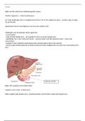 Liver Physiology and Anatomy Phase 2