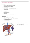 Liver notes MBChB 2