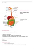 Gastrointestinal Tract Motility NOTES