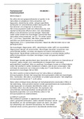 Tentamenstof FA-BA303 Autoimmuniteit