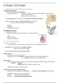 samenvatting Urologie: slides + notities uit les + cursus