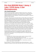 BIOS 390 Eric Kyle BIOS390 Week 1 & 2 Labs 1 (PCR) & 2 (Gel Electrophoresis