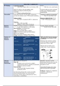 Pediatrics Block Chart