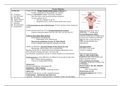 Gynecology Block Chart