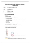 Samenvatting  Kinesitherapie En Revalidatie Van Het Cardiovasculaire Stelsel (D012209A)