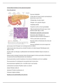 Samenvatting anatomie en fysiologie hoofdstuk 16 spijsverteringsstelsel