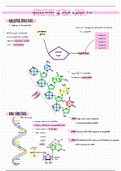 Nucleic Acid: Structure of RNA and DNA 