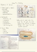 Microbiology: Week #2 Notes