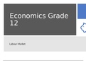 Grade 12 ieb economics: labour markets 