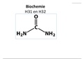 Samenvatting biochemie H31&32