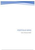Portfolio WMO Indicatieadvies (SPLUS2BOF64)  