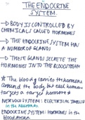 The Endocrine System Summary - GCSE Biology (9-1)