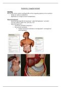 Samenvatting Anatomie en fysiologie, ISBN: 9789043035835  Anatomie En Fysiologie