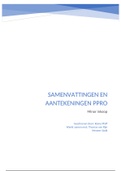 Samenvatting - PPRO (onderdeel van Minor Inkoop en Aanbesteden