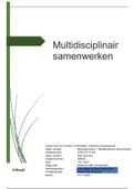 Tentamen  SIV Beroepsproduct Multidisciplinair Samenwerken (SIV OWE 9 & 10) 