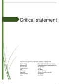 Tentamen  Beroepsproduct OWE 5 Critical Statement (OWE 5 critical statement ) 