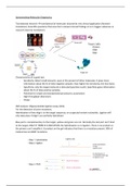 Summary Molecular Diagnostics (Course 10 Tc)