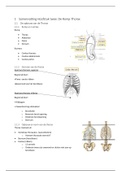 De romp-thorax en wervelkolom