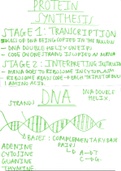 Protein Synthesis and DNA - GCSE 9-1 Biology