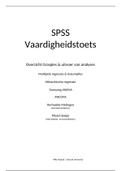 Overzicht analyses & interpretaties in SPSS