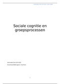 Samenvatting Sociale cognitie en groepsprocessen