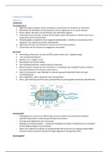 Samenvatting leerdoelen thema 4 infectie oorzaken van ziekten leerjaar 1 semester 1 Geneeskunde Rijksuniversiteit Groningen