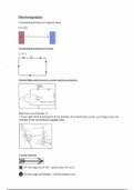Grade 12 IEB Physical Sciences - Electrodynamics Notes (Physics Section F)