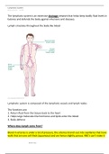 The lymphatic system 