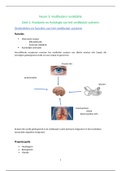 Vestibulaire revalidatie (Neuro 3)