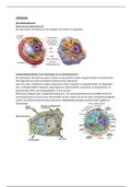 celbiologie: hoofdstuk 6: de eukaryote cel, Lydia Hendriks