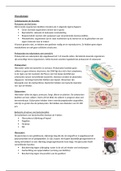 Microbiologie: hoofdstuk  3: Celstructuren en functies , Bert Verbinnen