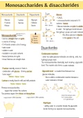 Carbohydrate notes 